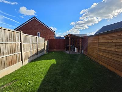 Picture 19